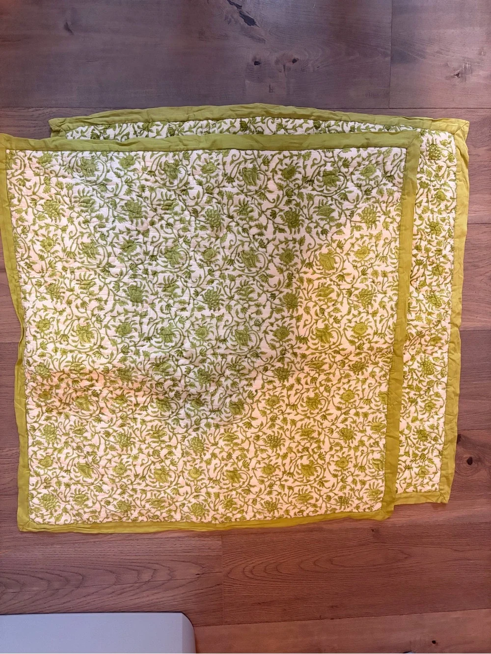 Two Pottery Barn Green and White Pillow Sham  Botanical Print